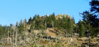 09  groer osser - von der nachmittagssonne bestrahlt - der wald darunter einopfer des orkans kyrill 2007